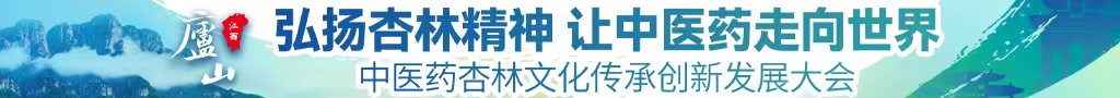 操浪逼网址中医药杏林文化传承创新发展大会